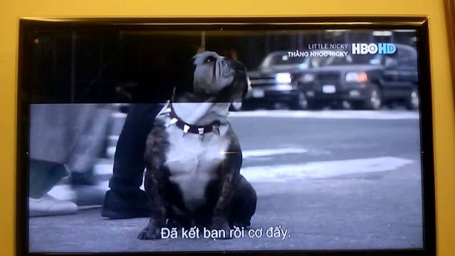 tivi-xiaomi-bi-mat-mau
